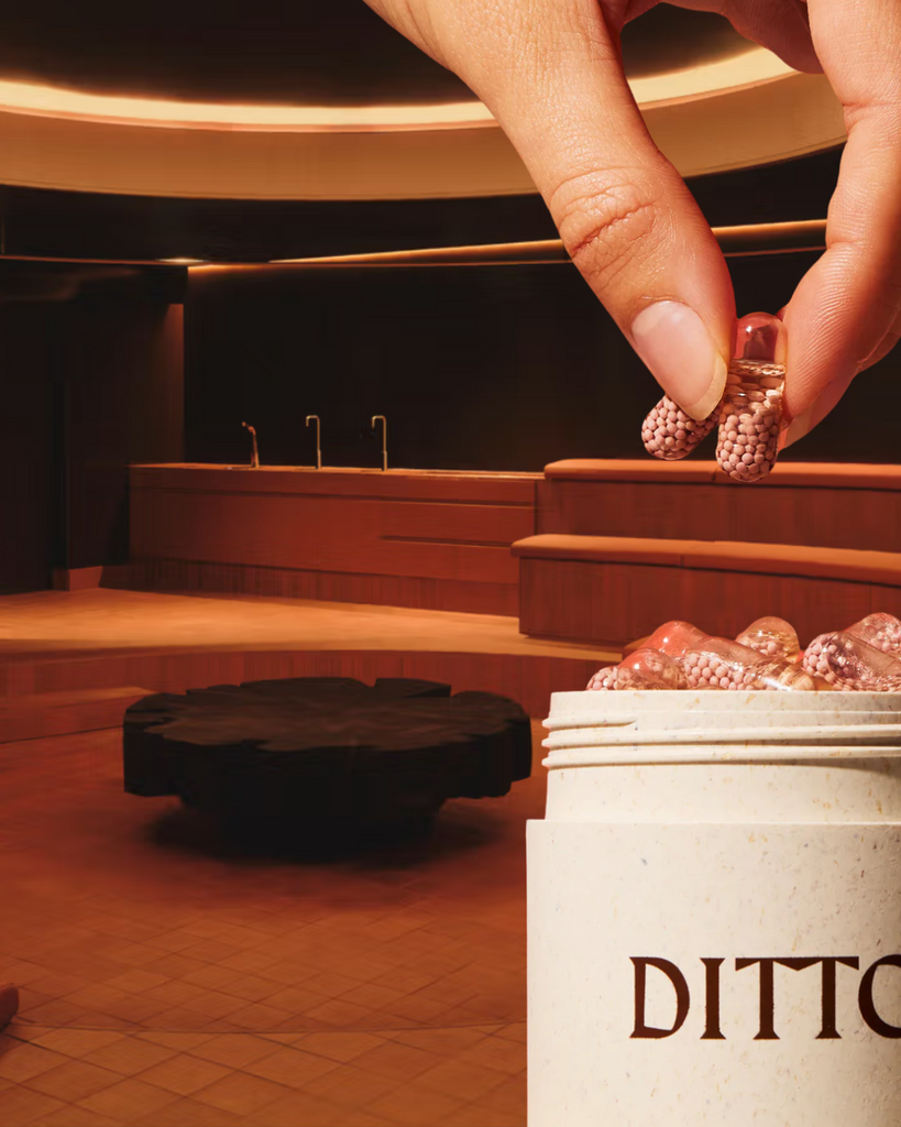 What We Are Currently Obsessed With